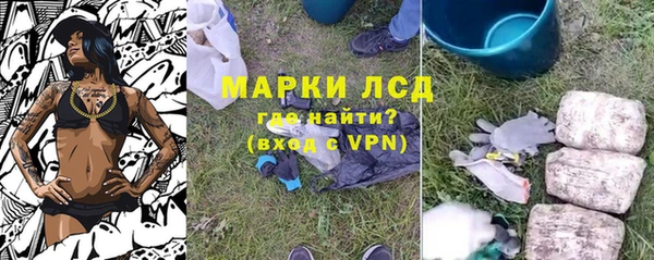 индика Нея