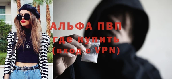 гашик Нефтекумск