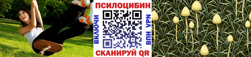 Псилоцибиновые грибы MAGIC MUSHROOMS  Купить где  Черноголовка 